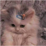 ريتال عبدالمجيد اسلام